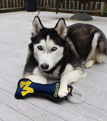 NCAA Michigan Wolverines Fogászati Kutya TUG Játék a felnőttek a feladathoz. Kemény KISÁLLAT Játék az