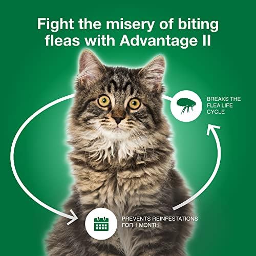 Előnye, II., Nagy Macska Állatorvos-Ajánlott Bolha Kezelés & Prevenciós | Macskák Több, mint£. | 12 Havi