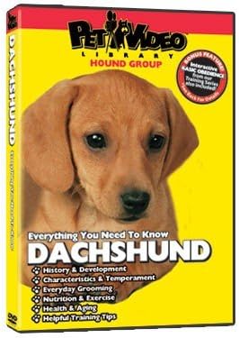 Tacskó DVD - Minden, amit tudnod Kell a Kutya