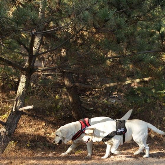 Kutya Hám Nem Húzza Állítható Kisállat Fényvisszaverő Oxford Puha Mellény Nagytestű Kutyáknak Könnyű Irányítani